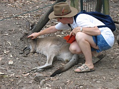 CairnsTC191 Cairns Tropical Zoo